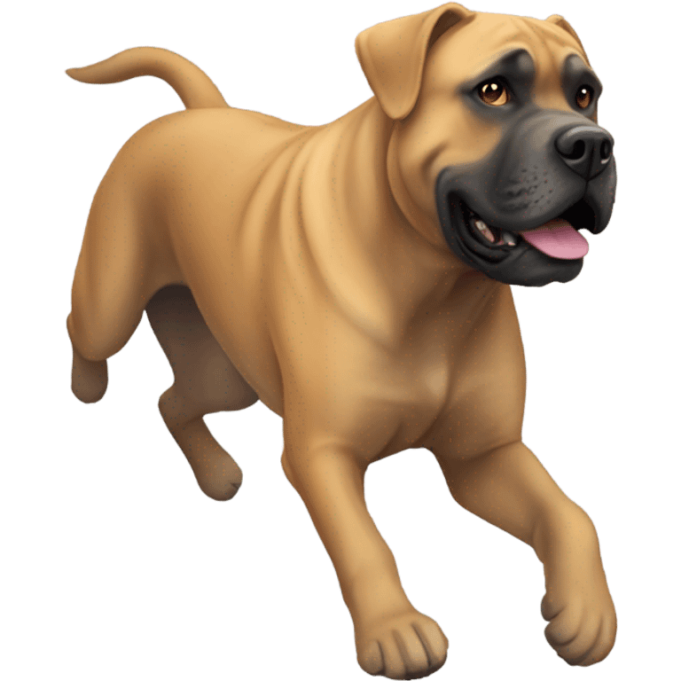 An orange-colored Cane Corso gliding in a 🪂  emoji