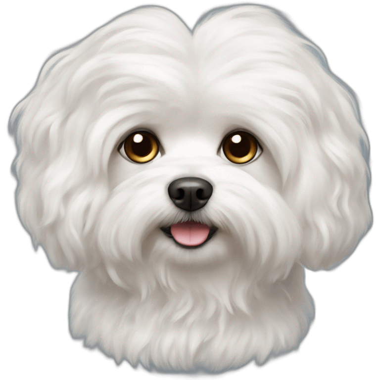 portrait of a white maltese fluffy dog with flap ears long curly hair emoji