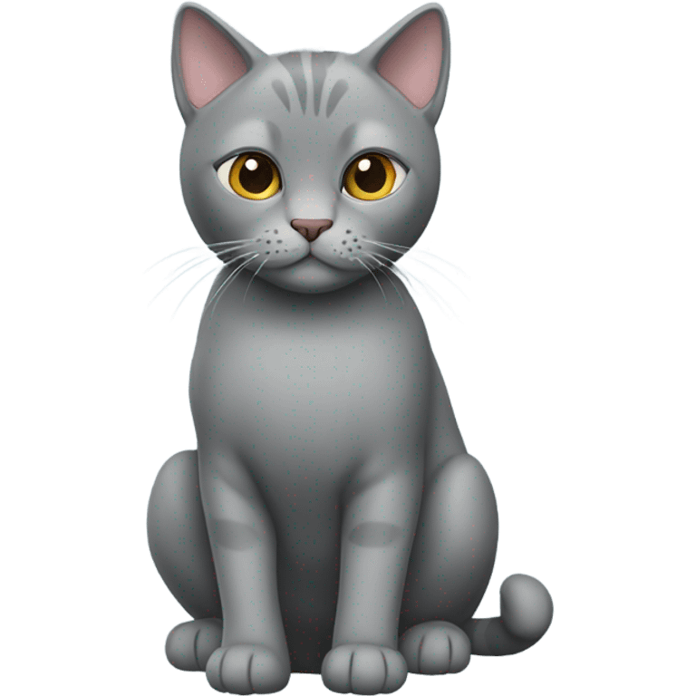 Grey scottish cat full body emoji