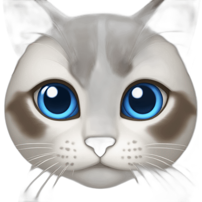 snowshoe cat with blue eyes emoji