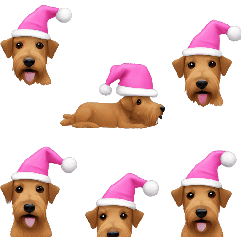 Irish terrier in a pink santa hat emoji