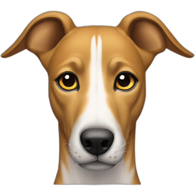 Front view, greyhound, brown yellow tiger emoji