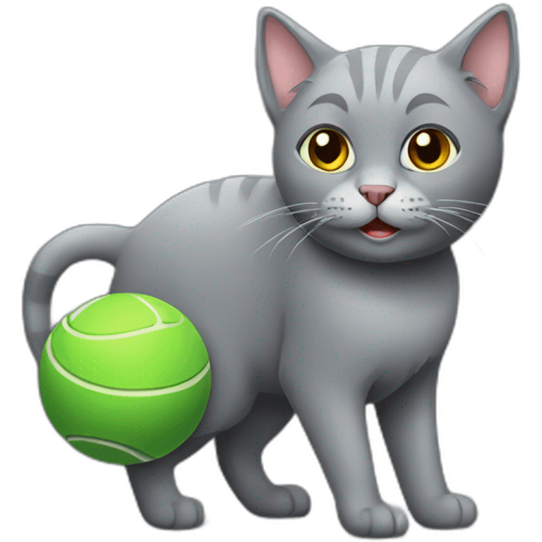 grey cat with ball emoji