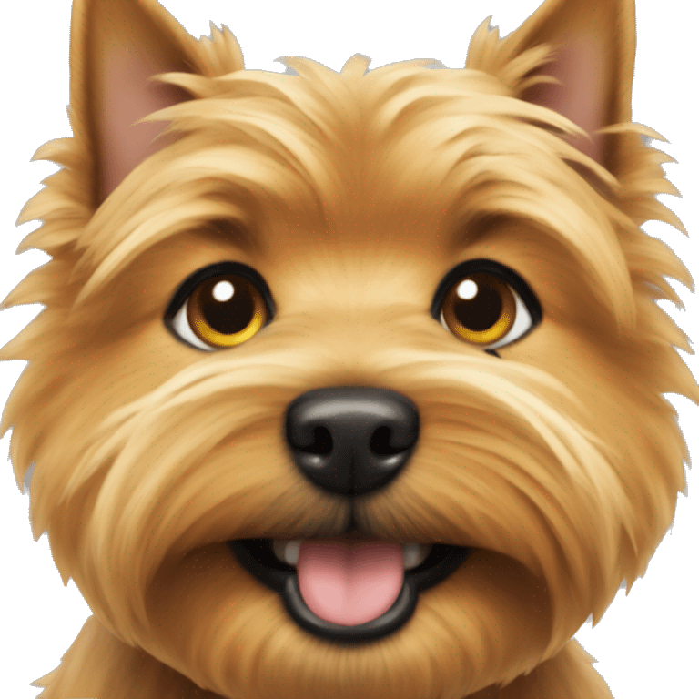 Norwich terrier  emoji