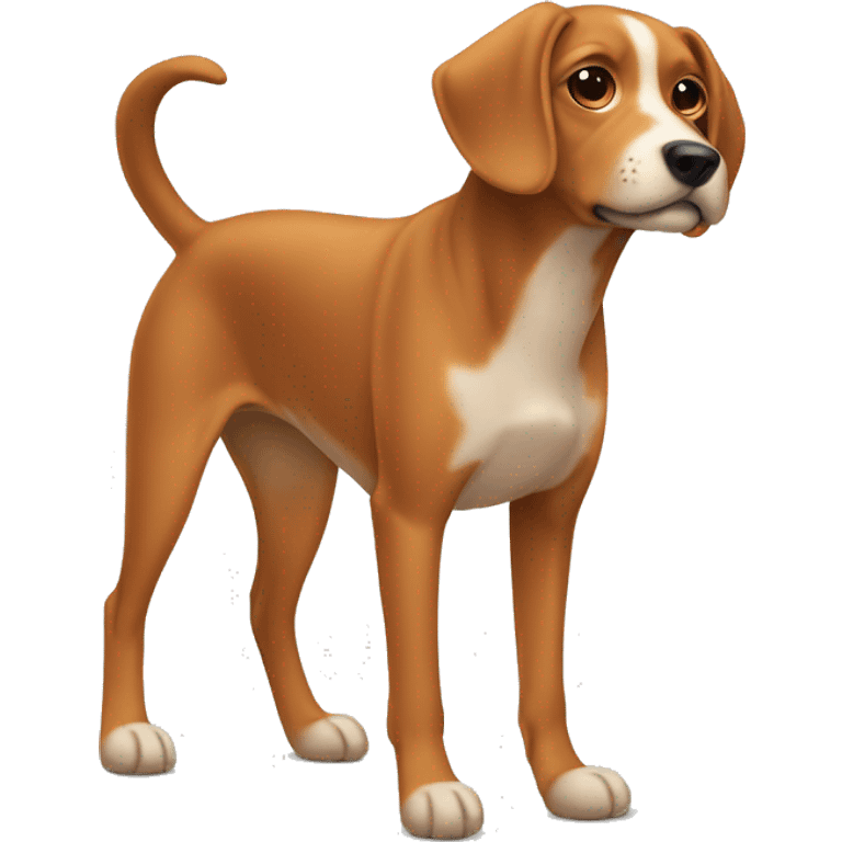 Three legged dog that is medium size with floppy ears and is orange ish brown color emoji