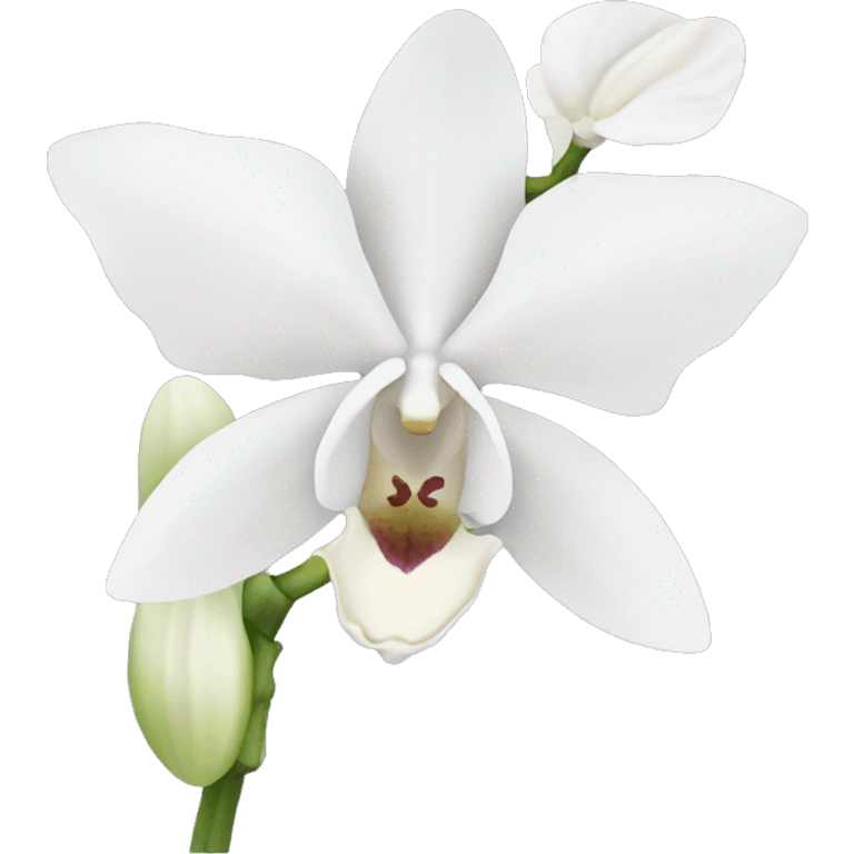 White orchid flower emoji