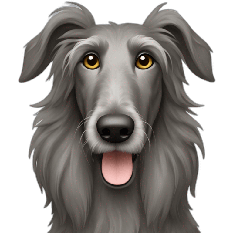 Scottish deerhound with caramel hair, black eyes, white nose emoji