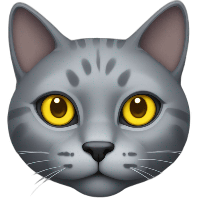 Head of gray cat with yellow eyes looking at you really brutal emoji