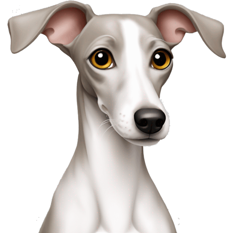 White Italian greyhound emoji