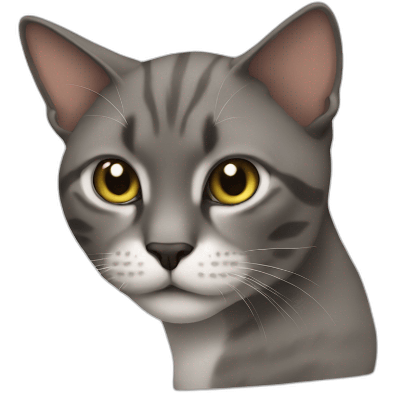 nigga cat emoji