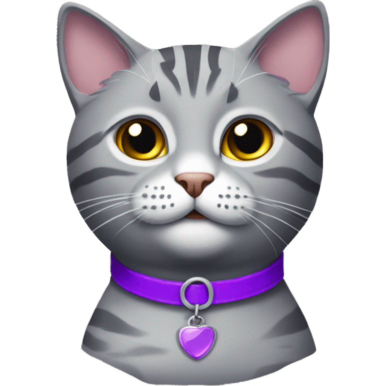 Grey tabby cat with a purple collar emoji