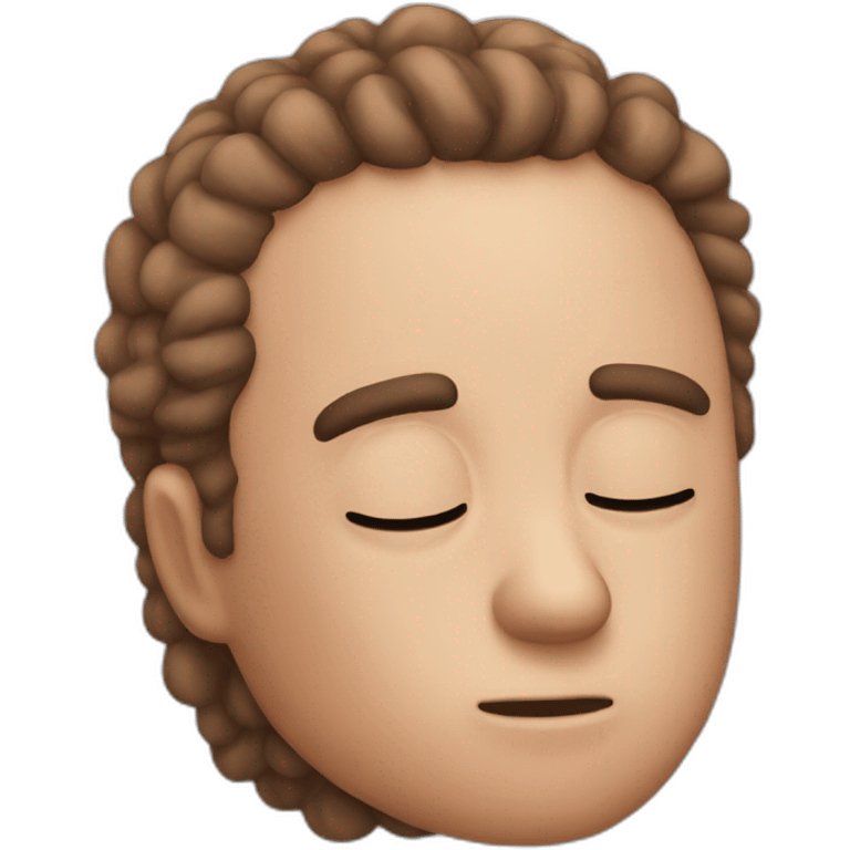 Sleepy joe emoji