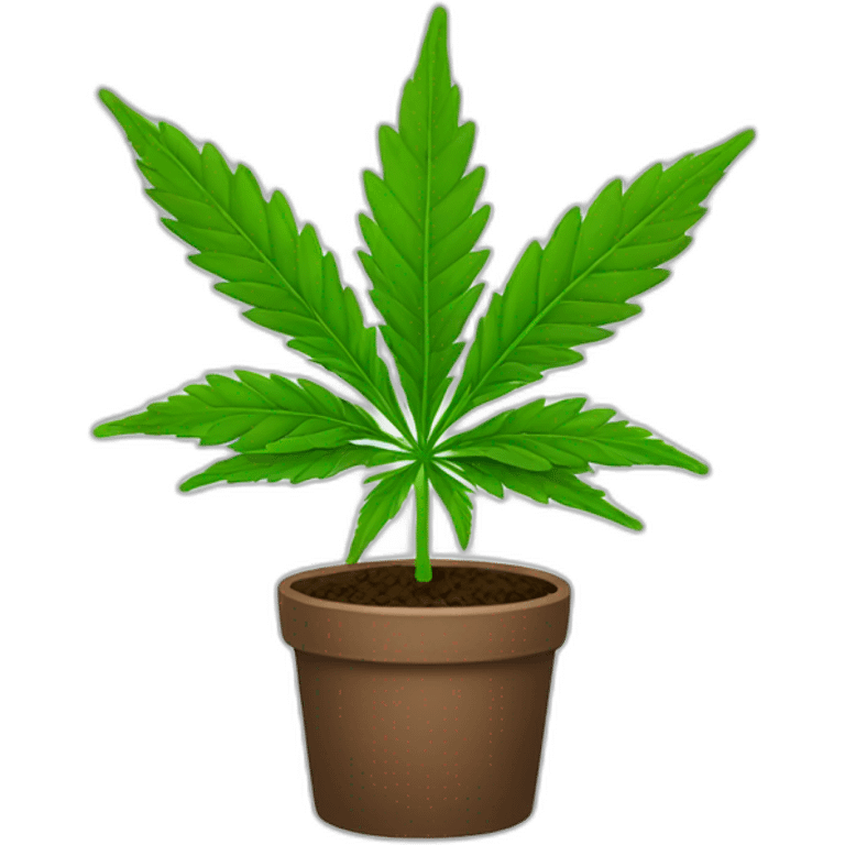 young-cannabis-plant emoji