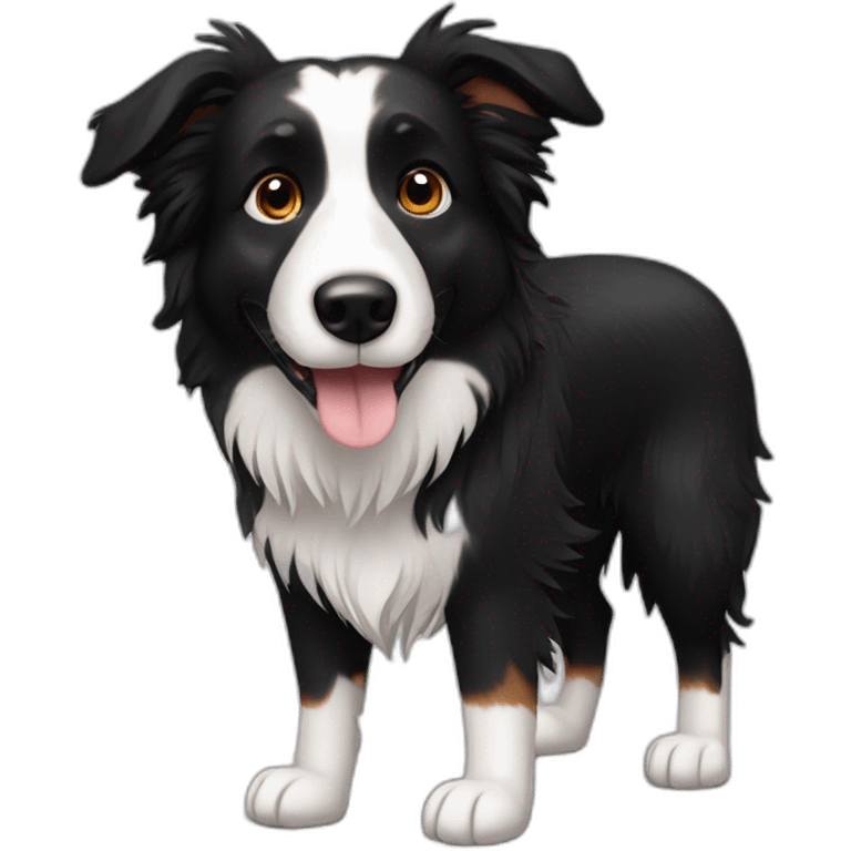 Black colour hair Border collie with Brown eyes emoji