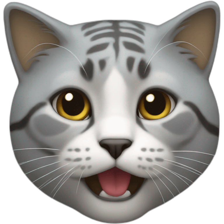 Un chat sur un char emoji