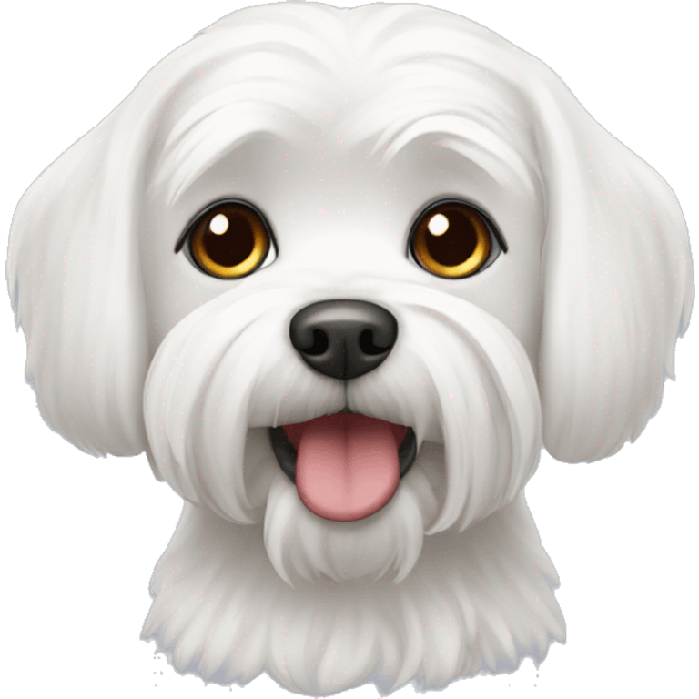 white Maltese dog emoji