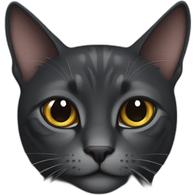 black and dark gray cat emoji