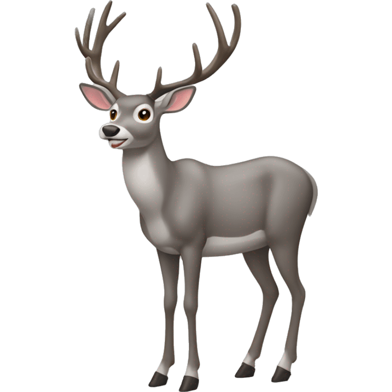 gray mule deer buckstaning pose looking straight emoji