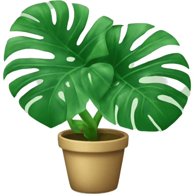 monstera plant emoji