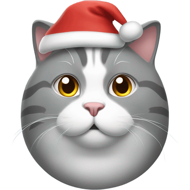 Grey fat cat with white accents wearing a Santa hat emoji