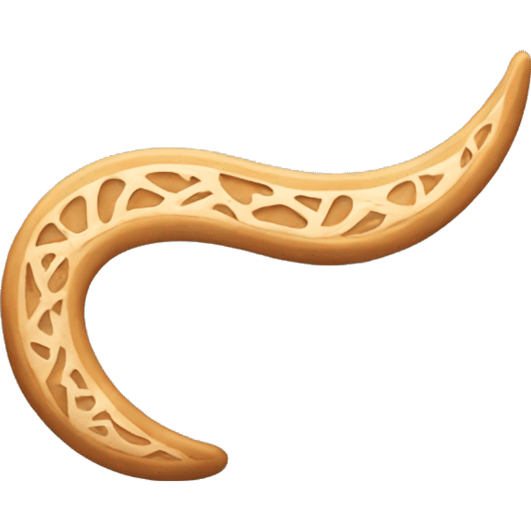 a boomerang with indiacas  emoji