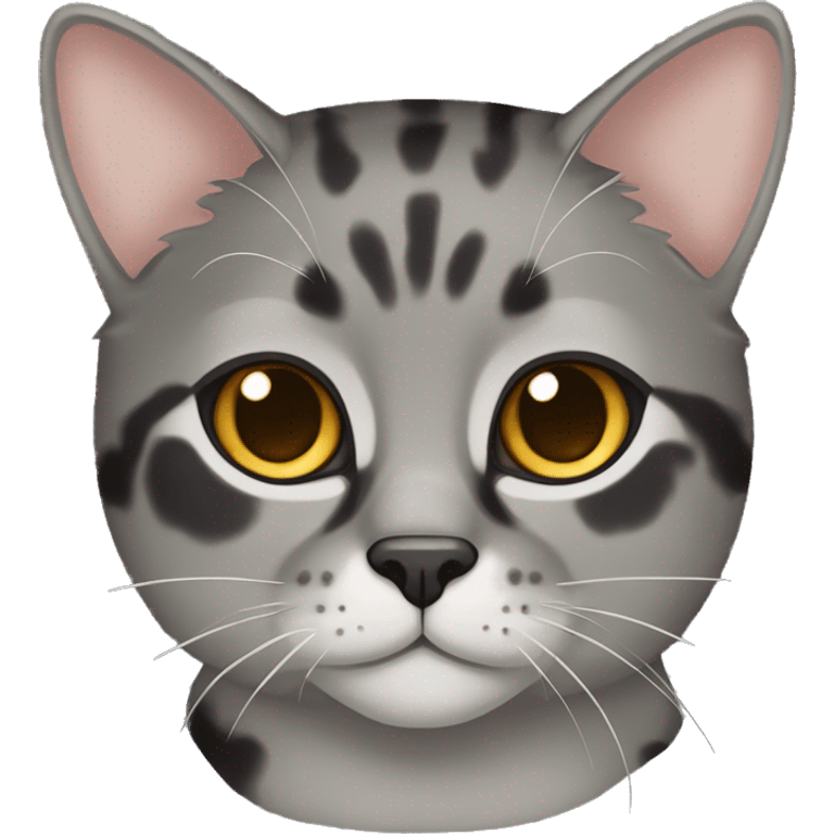 Gray tortoiseshell cat emoji