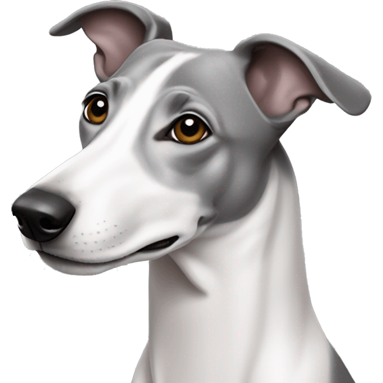 Grey and white whippet emoji