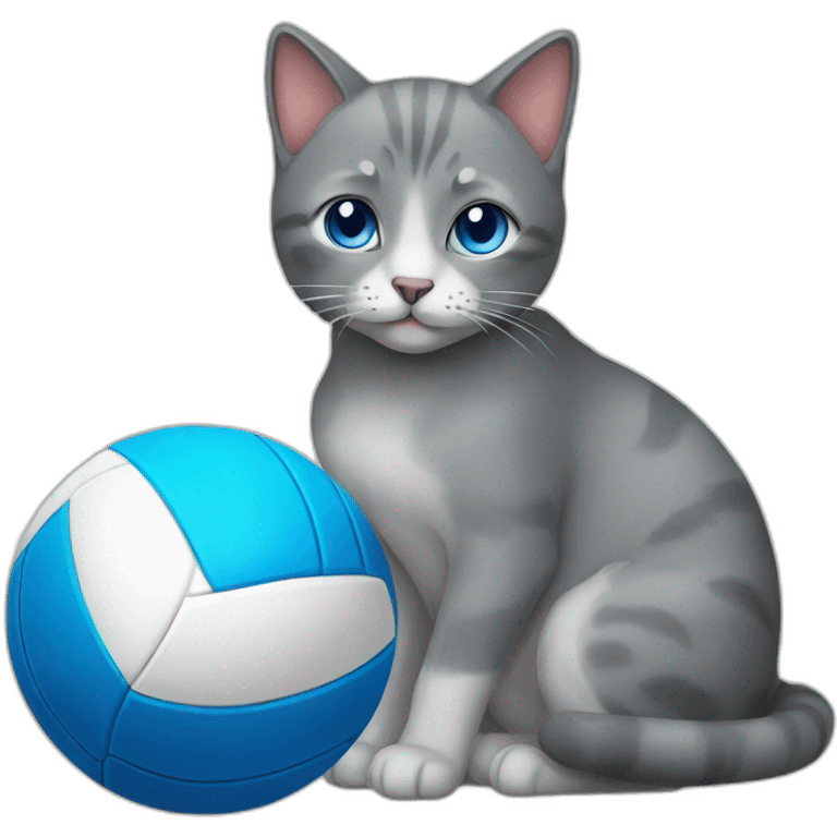 a gray cat with blue eyes and a volleyball emoji