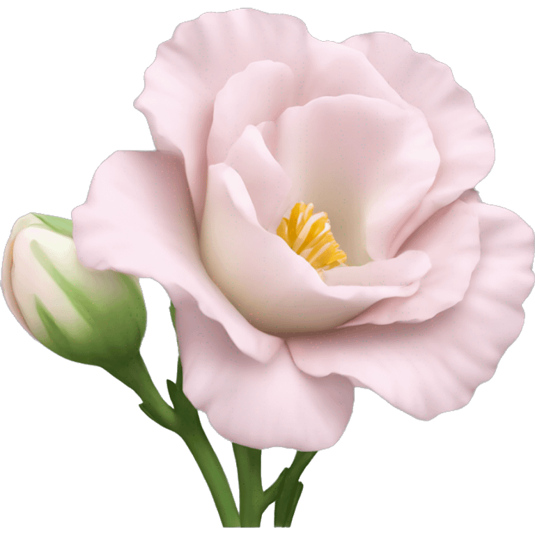 Beautiful light pink flower Eustoma emoji