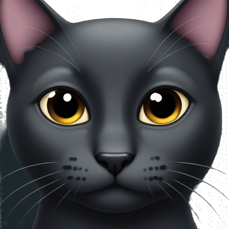 Black cat with Black whiskers emoji