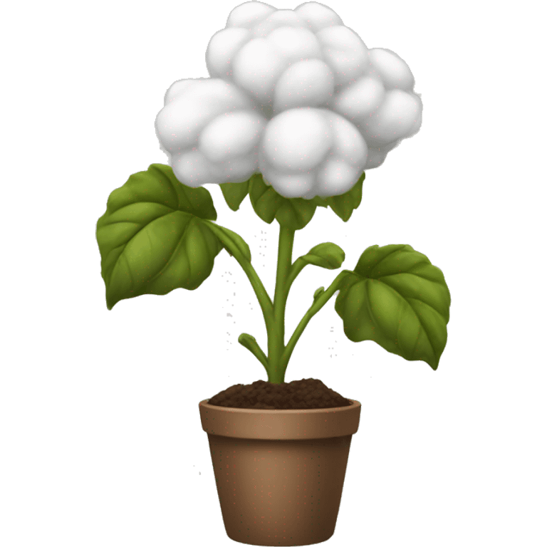 cotton plant emoji