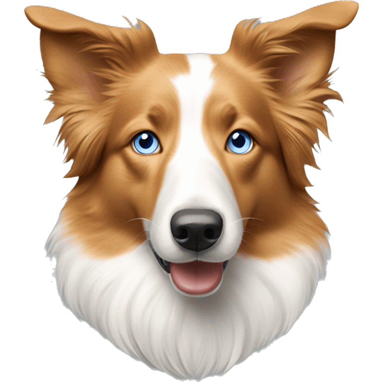 Pale orange and white border collie with blue eyes  emoji