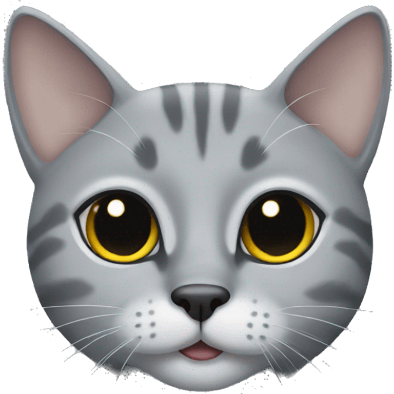 Grey cat with black nose  emoji