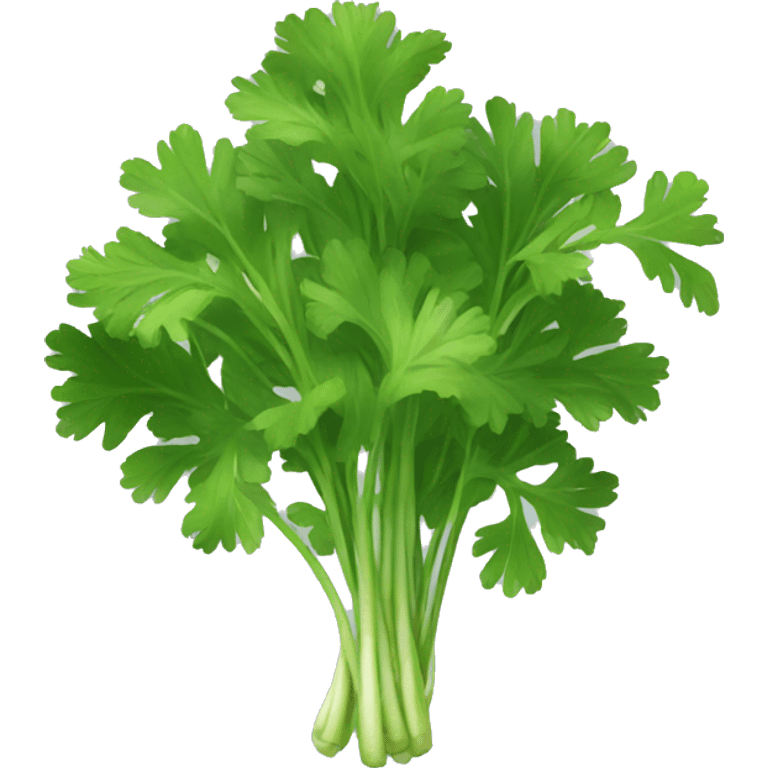 cilantro emoji