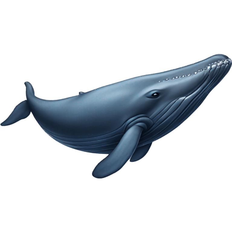 humpback whale emoji