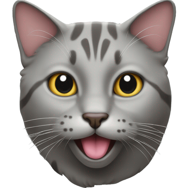 Grey cat with the tongue out emoji