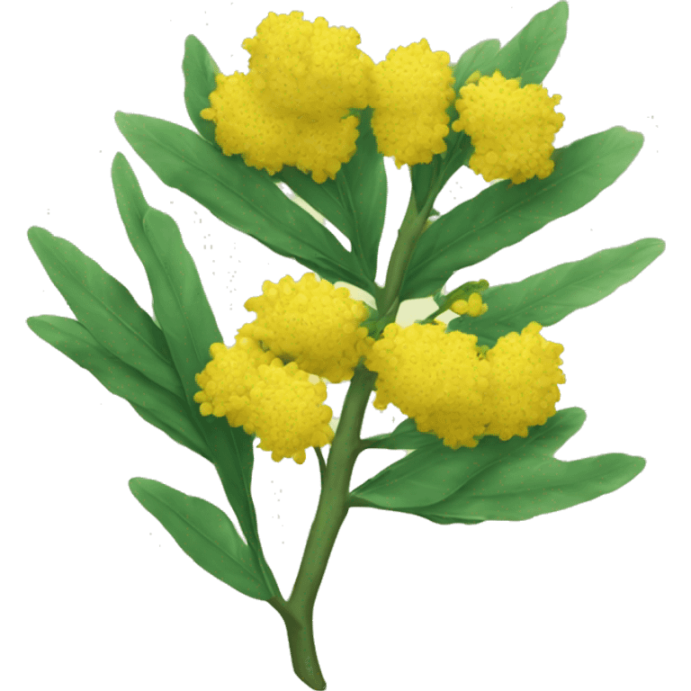 wattle  emoji