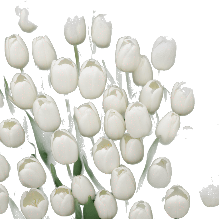 white tulips emoji