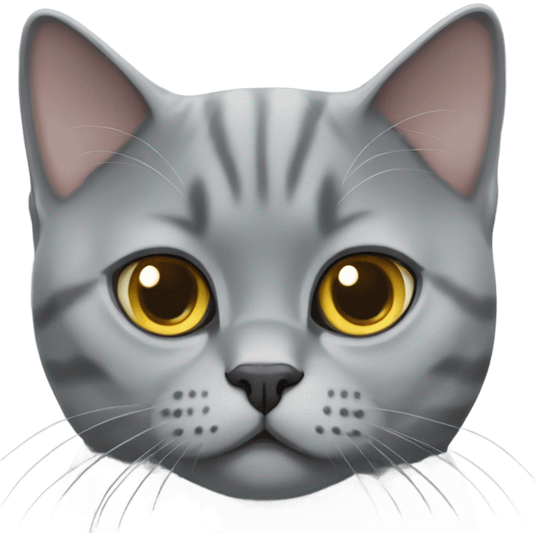 Grey British shorthair cat emoji