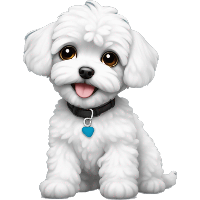 Black and white maltipoo emoji