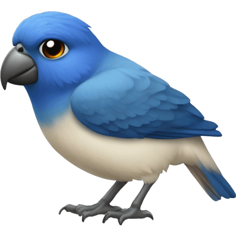 Agapornis azul emoji