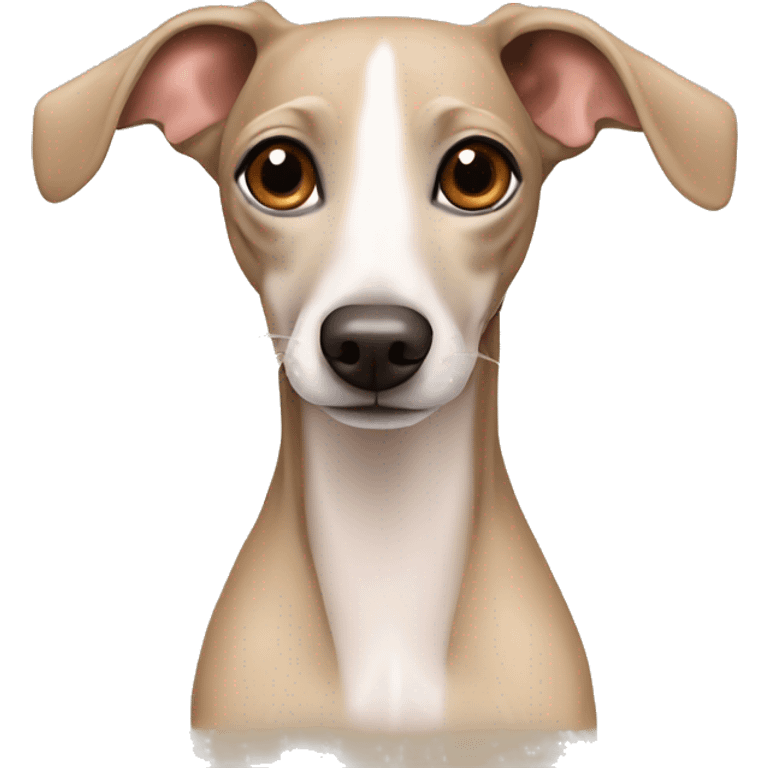 Cute dog Italian greyhound beige color emoji