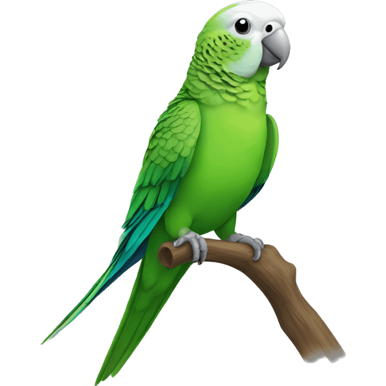 a green male parakeet emoji