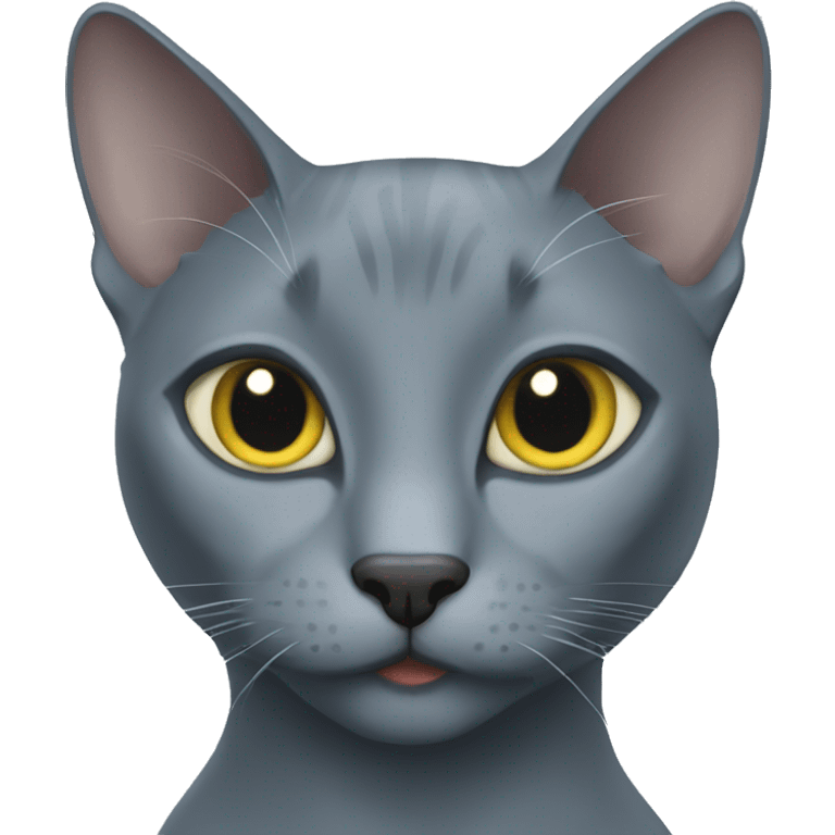 Russian blue cat emoji