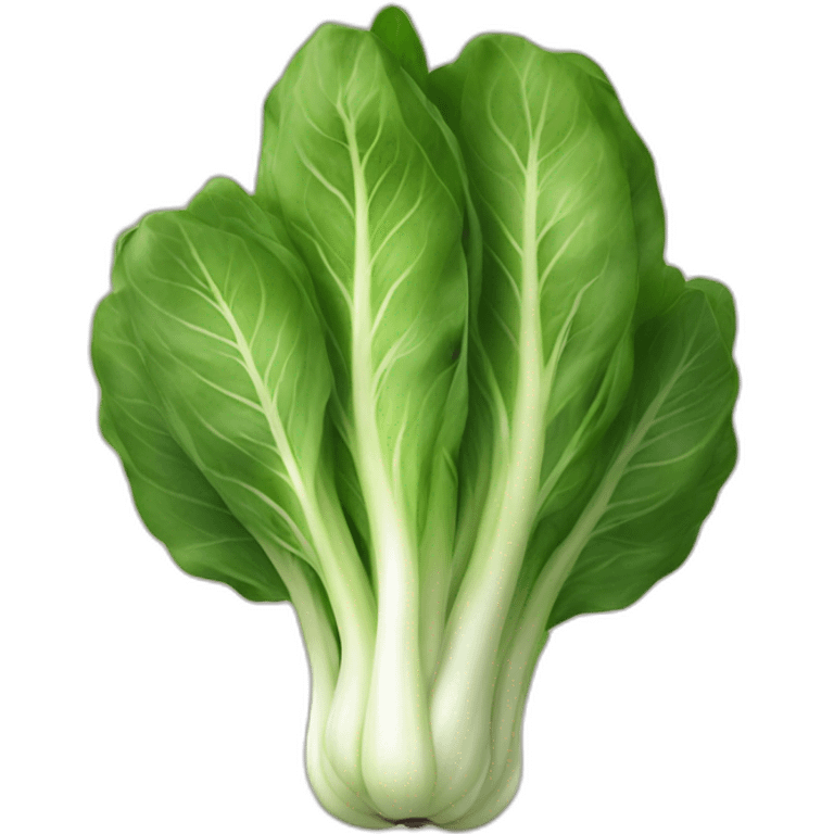 Bok choy emoji