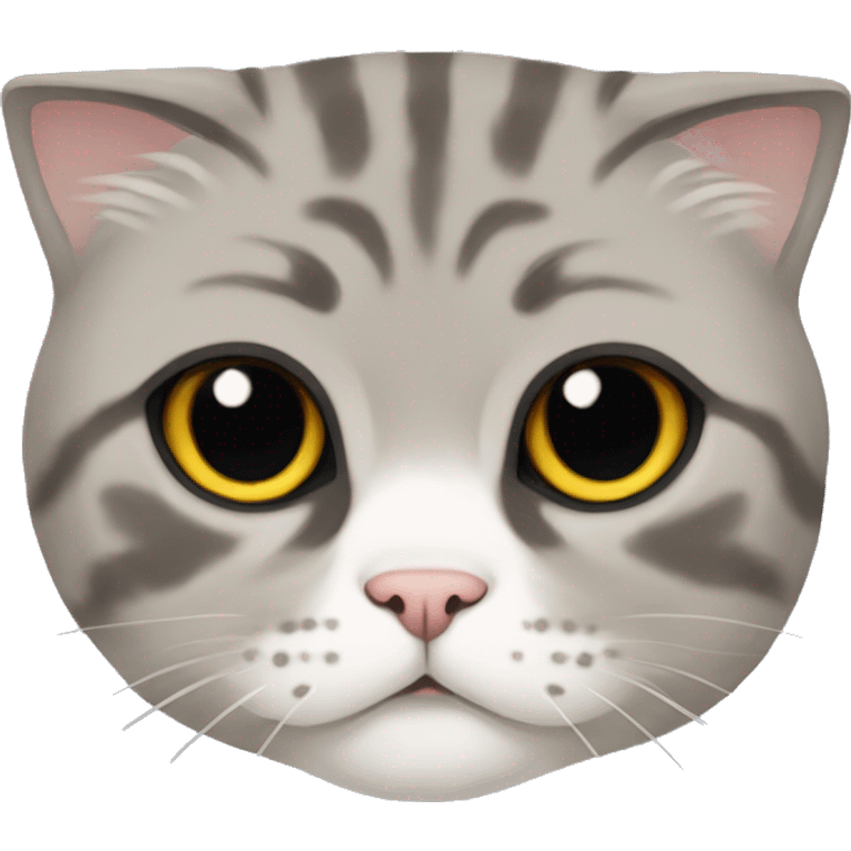 Scottish fold cat emoji