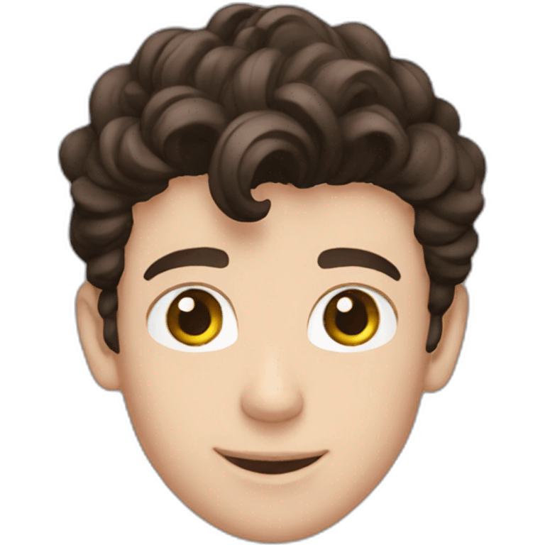 Shawn mendes emoji