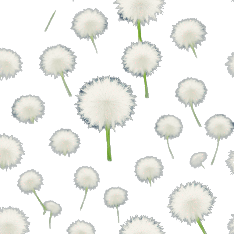 white dandelion emoji