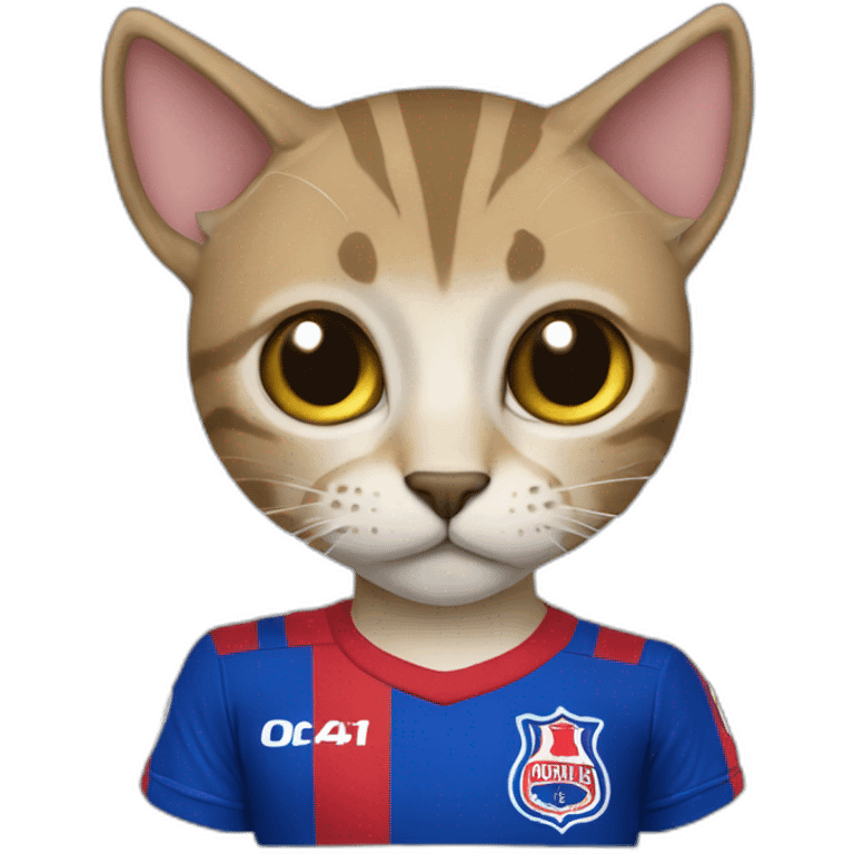 gato con camiseta de la universidad de Chile emoji