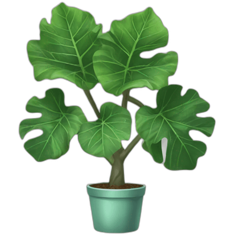 plant fiddle leaf fig emoji